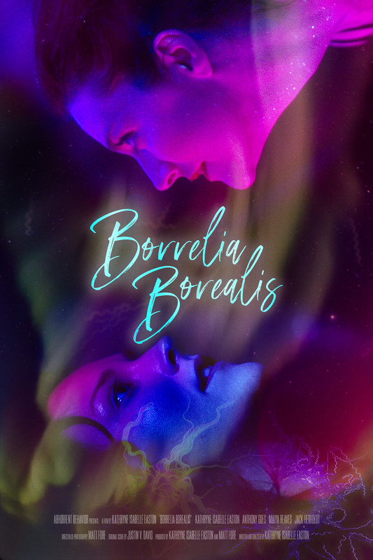 Borrelia Borealis (2021) постер