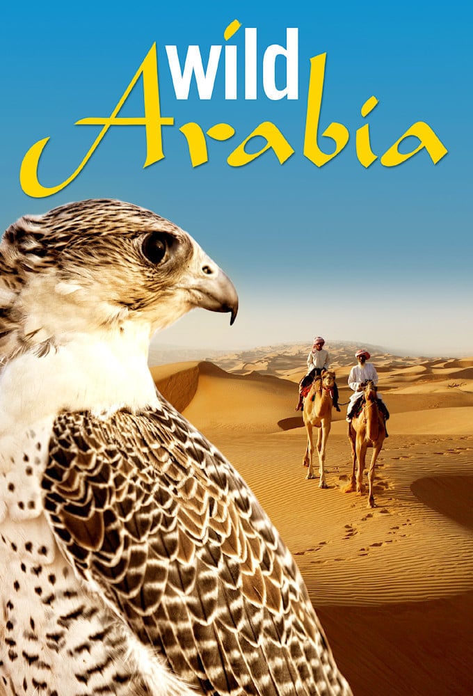 Дикая Аравия (2013) постер