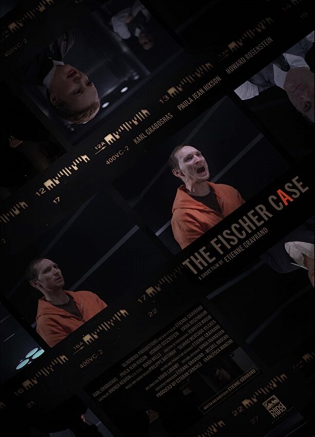 The Fischer Case (2014) постер