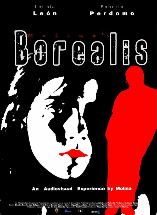 Molina's Borealis (2013) постер