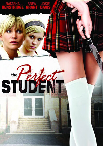 Идеальная студентка (2010) постер