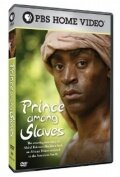 Prince Among Slaves (2007) постер