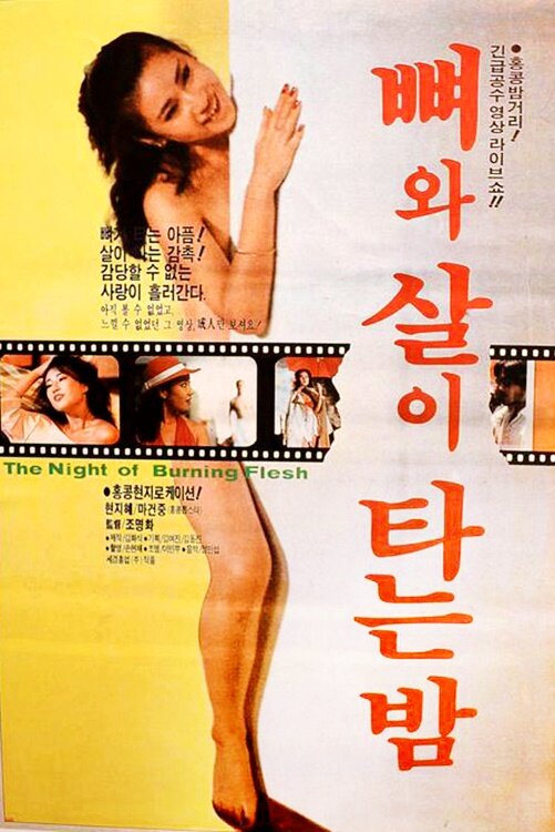 Zai shi feng liu jie (1985) постер