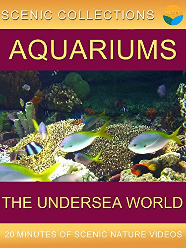 Aquariums (2007) постер
