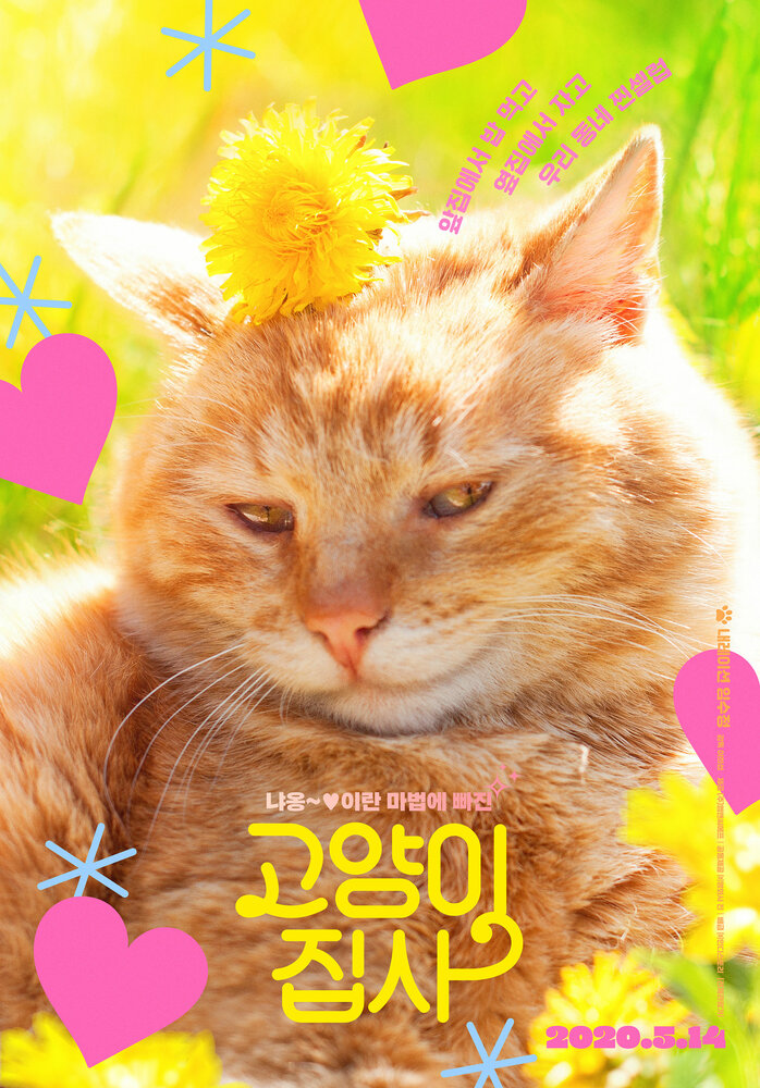 Наши котики (2020) постер