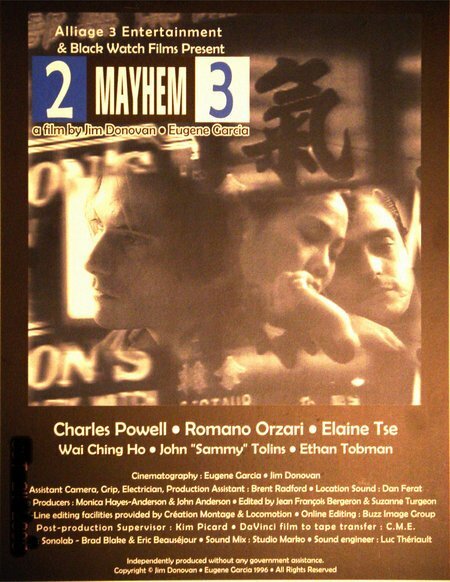 2 Mayhem 3 (1996) постер