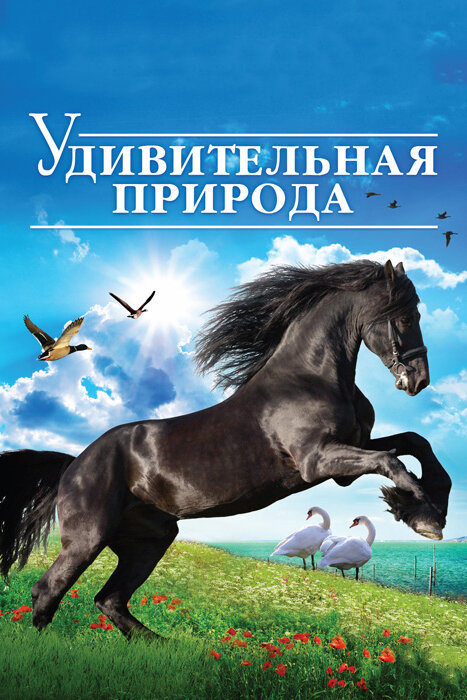 Удивительная природа 3D (2012) постер