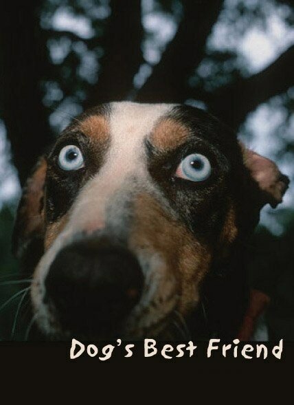 Лучший друг собак (1997) постер