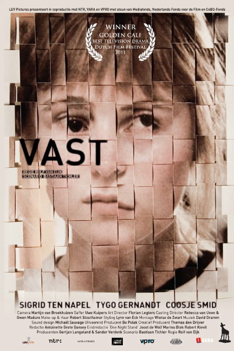 Vast (2011) постер