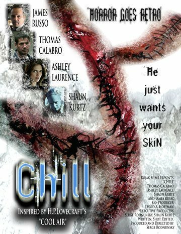 Холод (2007) постер