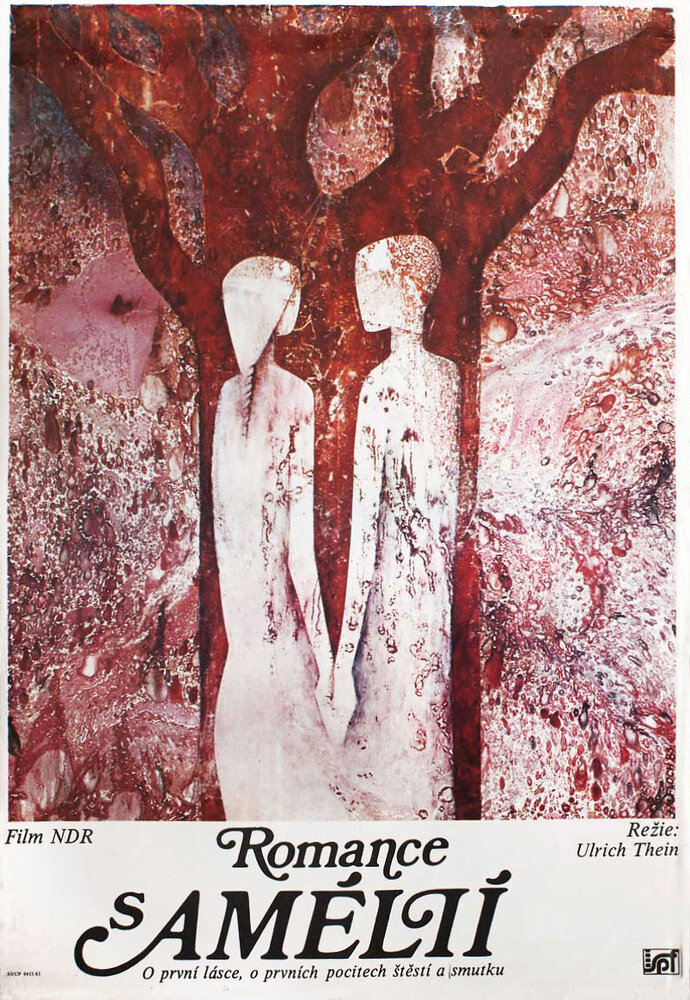 Роман с Амелией (1982) постер