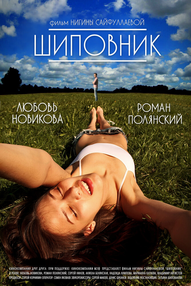 Шиповник (2011) постер