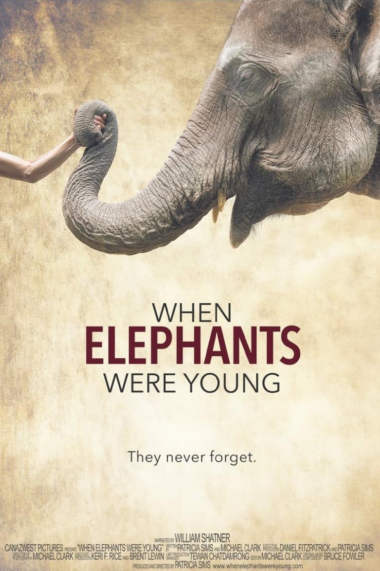 Когда слоны были молодыми (2016) постер