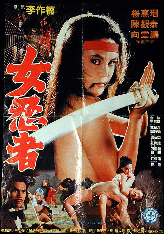 Задание леди-ниндзя (1983) постер