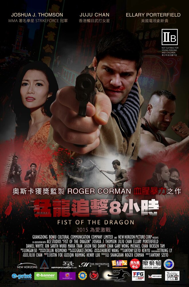 Кулак дракона (2014) постер