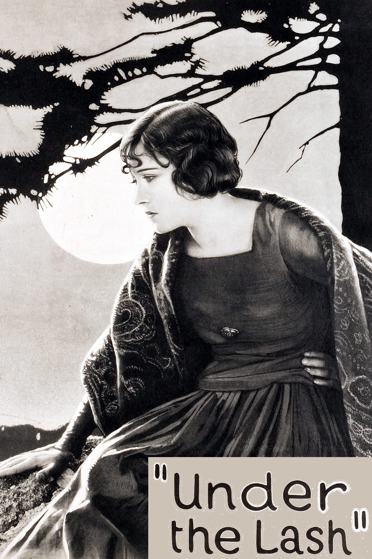 Под хлыстом (1921) постер