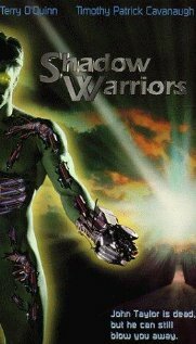 Теневые воины (1994) постер