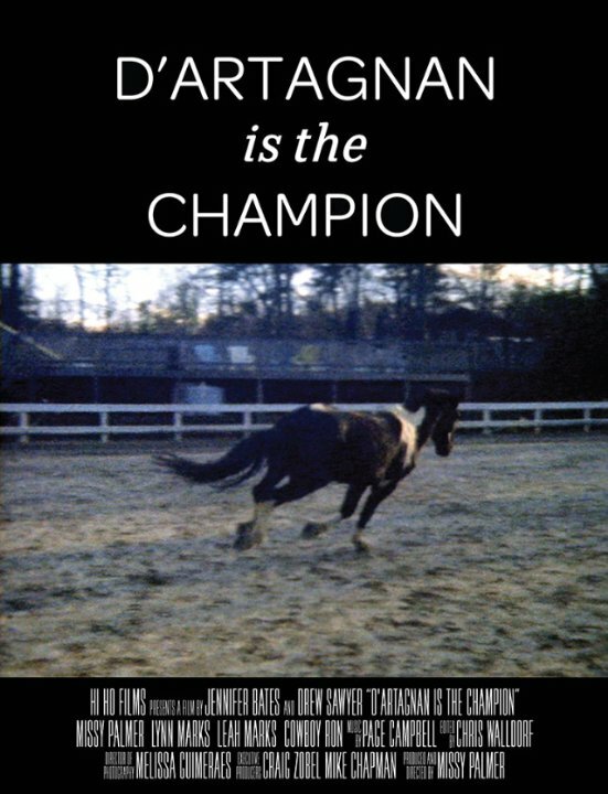 D'artagnan is the Champion (2014) постер