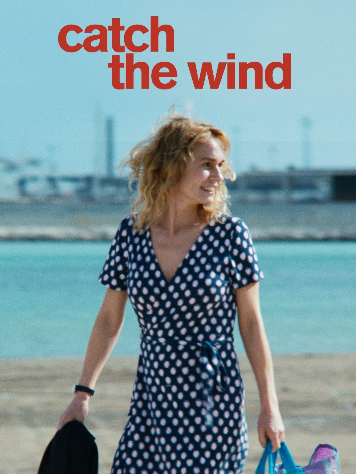 Попутный ветер (2017) постер