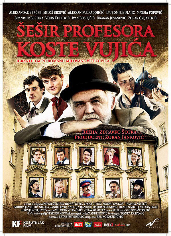 Шляпа профессора Вуйича (2012) постер