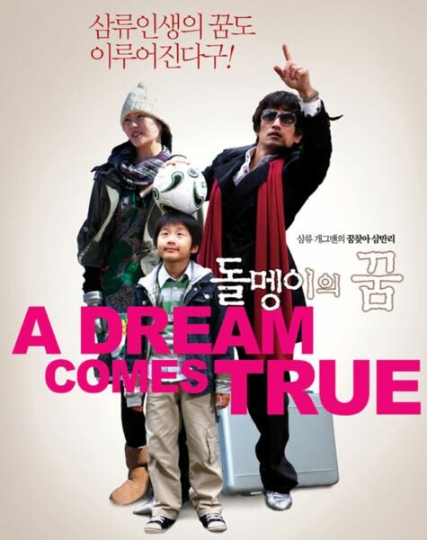 Мечта сбывается (2009) постер