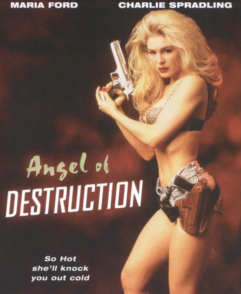 Ангел разрушения (1994) постер
