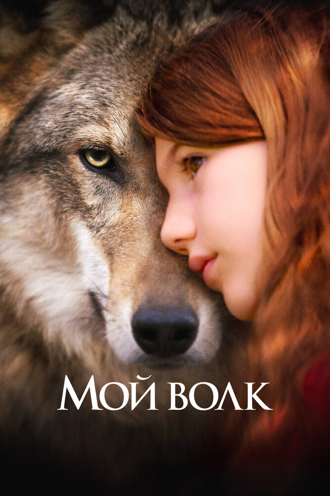 Мой волк (2021) постер