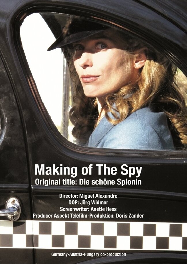 Красивая шпионка (2013) постер