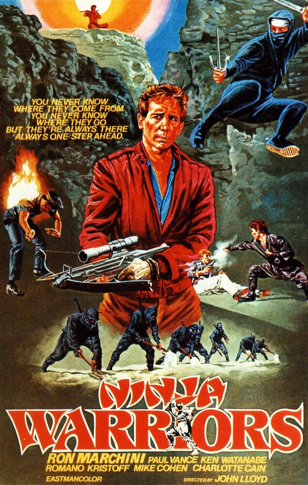 Воины ниндзя (1985) постер