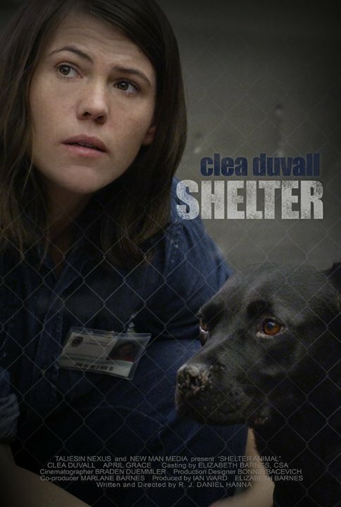 Shelter (2015) постер