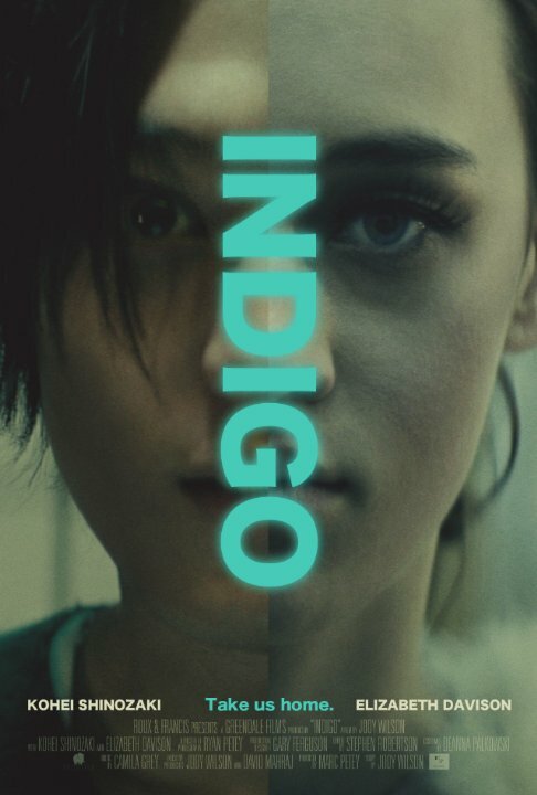 Indigo (2016) постер