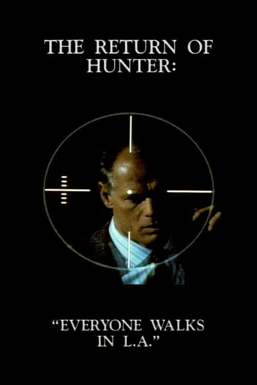 Возвращение охотника (1995) постер