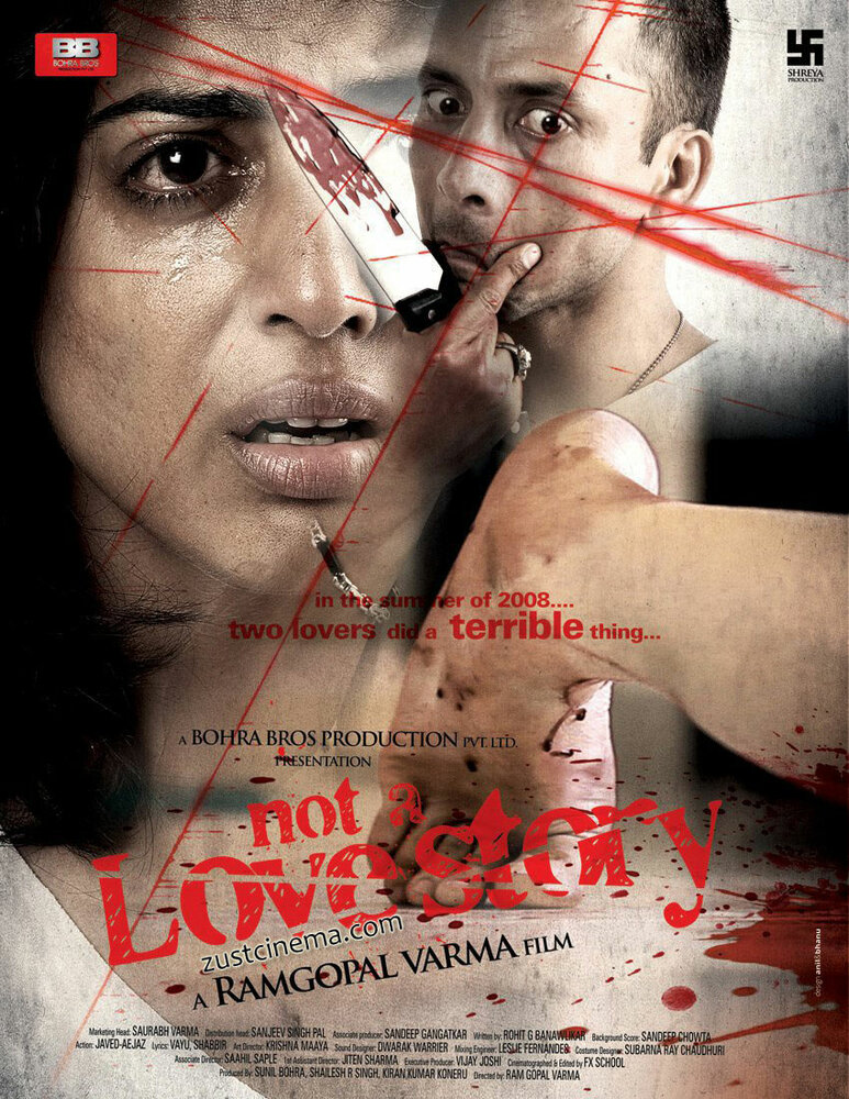 Совсем не любовная история (2011) постер
