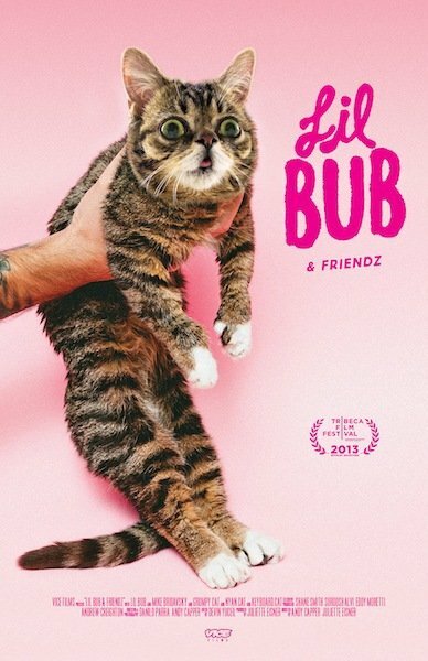 Лил Буб и друзья (2013) постер
