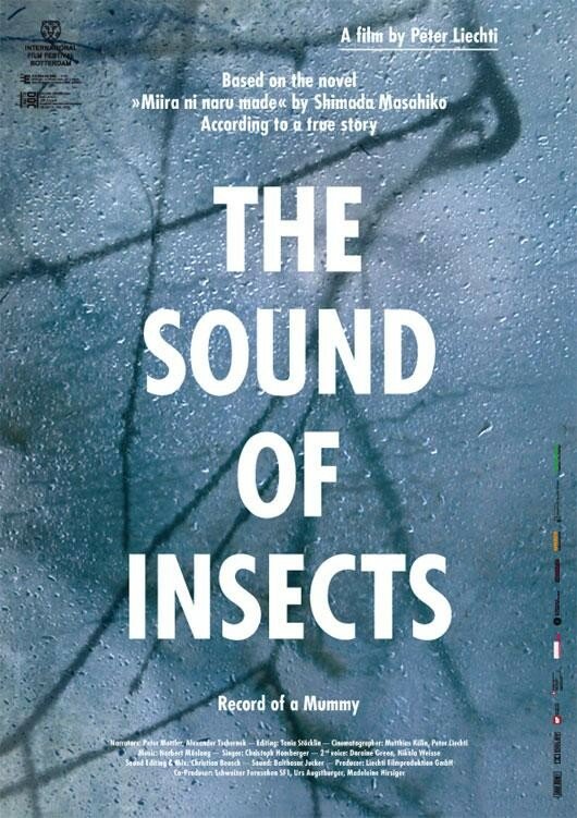 Звук насекомых: Дневник мумии (2009) постер