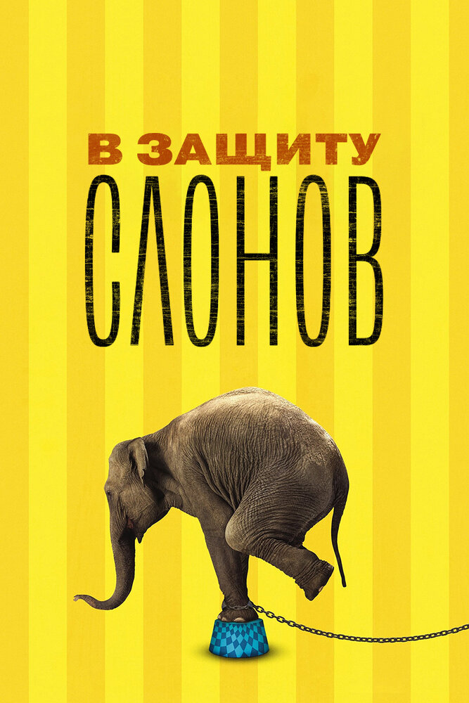 В защиту слонов (2013) постер