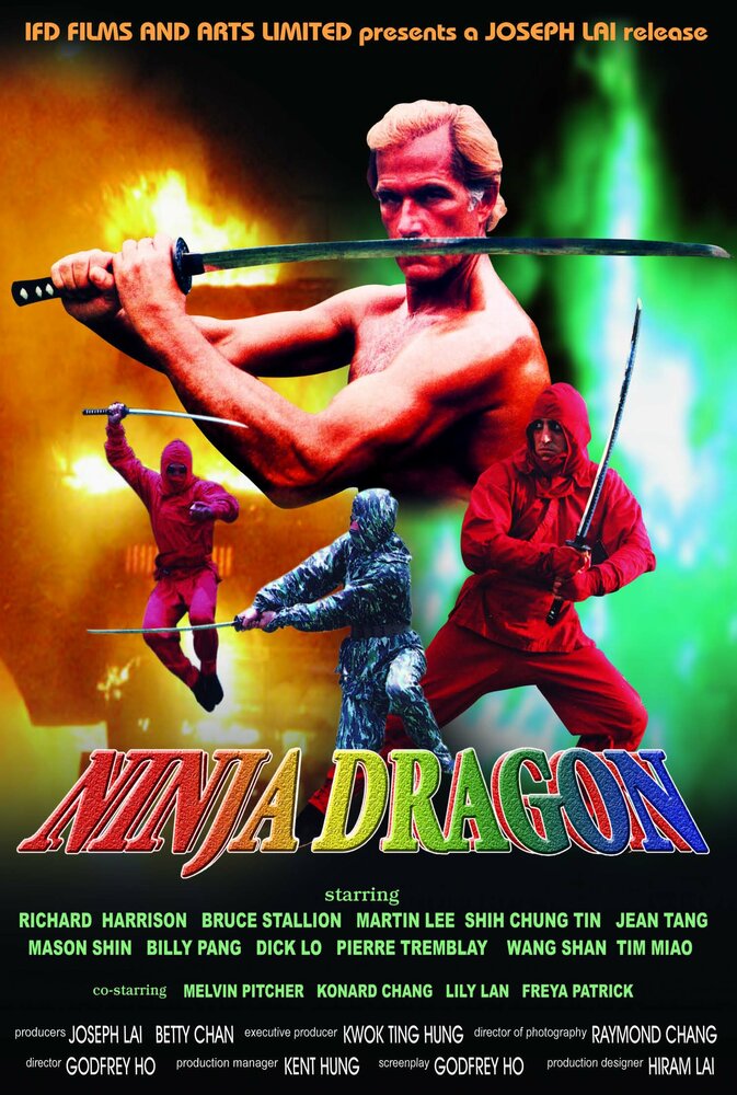 Ниндзя Дракон (1986) постер
