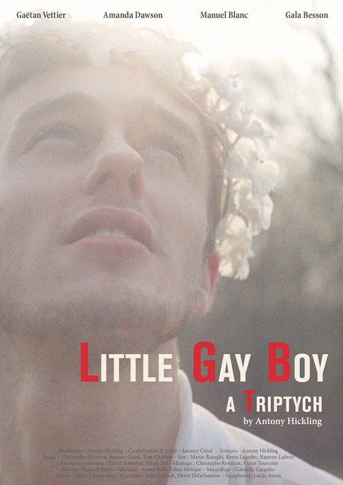 Маленький мальчик-гей (2013) постер