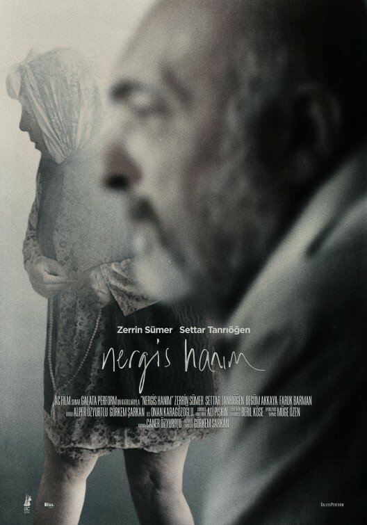 Госпожа Нергиз (2014) постер