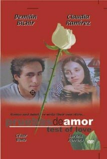 Доказательства любви (1994) постер