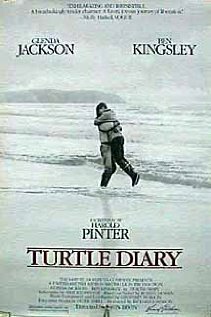 Дневник Черепахи (1985) постер